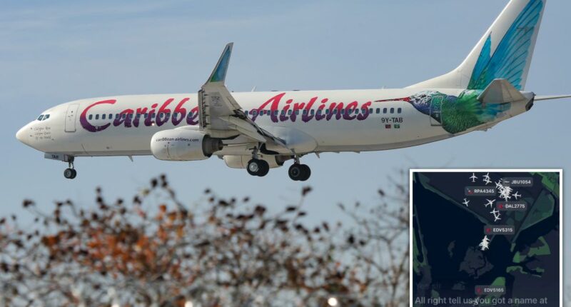 Caribbean Airlines passenger gives birth aboard NY-bound flight â as airport officials suggest crafty name for newborn